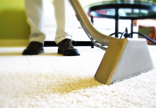 carpet cleaning services portland oregon
